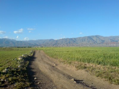 Nature of Nishapur 01
