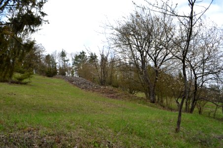 Naturschutzgebiet, Neuhaus, Steinriegel (2)
