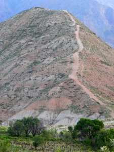 Nature of Nishapur 06