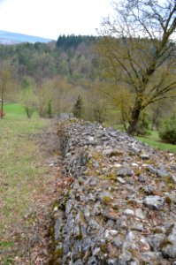 Naturschutzgebiet, Neuhaus, Steinriegel (1)