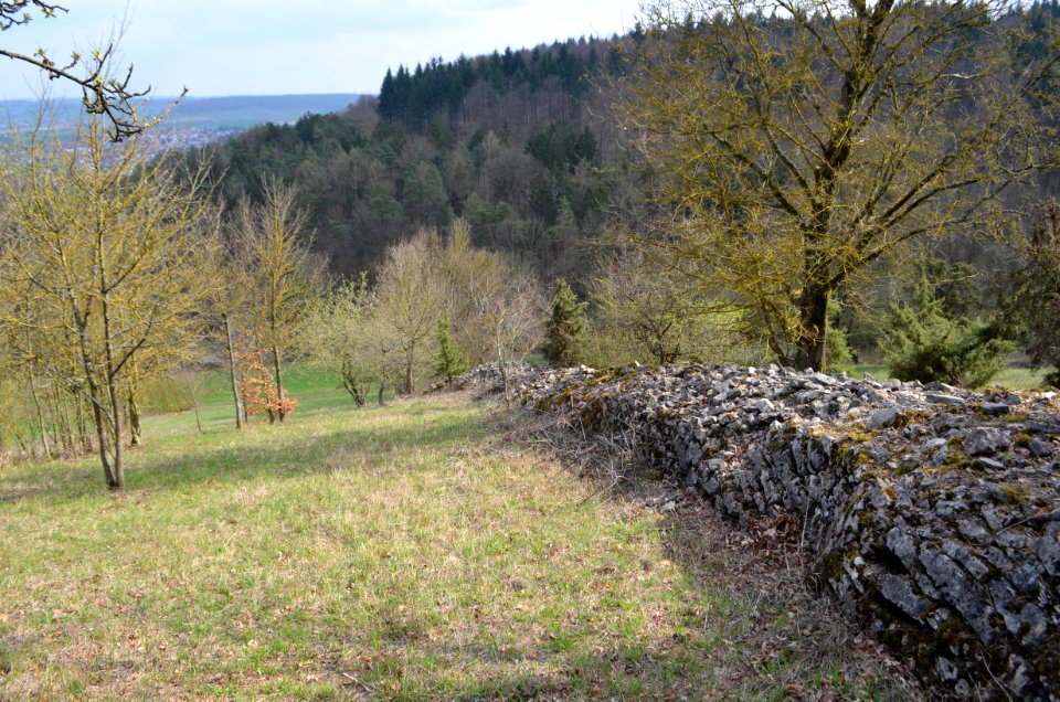 Naturschutzgebiet, Neuhaus, Steinriegel