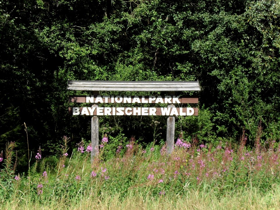 Nationalpark Bayerischer Wald