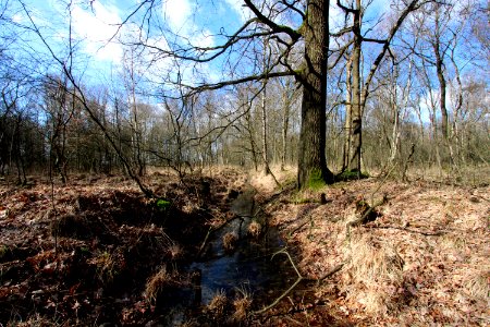 Naturschutzgebiet Fürstenkuhle 05