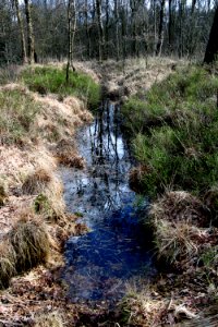 Naturschutzgebiet Fürstenkuhle 14