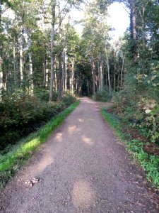Naturschutzgebiet Grävingholz 27.09.2014 17-03-36
