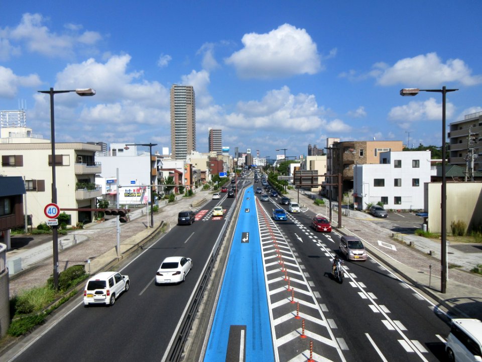 National-Route-1-in-Okazaki-3