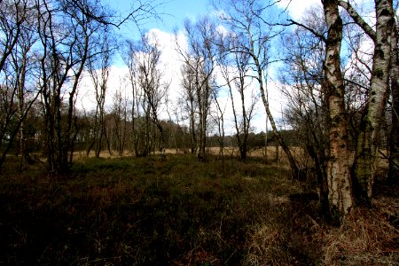 Naturschutzgebiet Fürstenkuhle 13