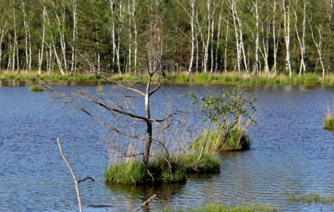 Naturschutzgebiet Loben 16