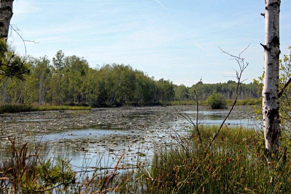 Naturschutzgebiet Loben 20