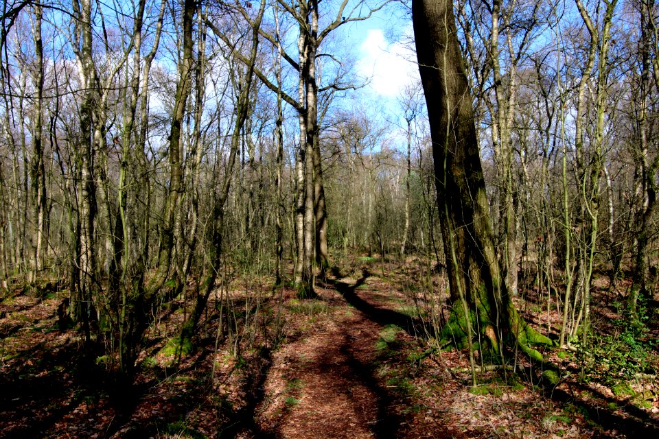 Naturschutzgebiet Fürstenkuhle 03