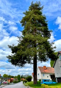 Naturminne Katrineholm