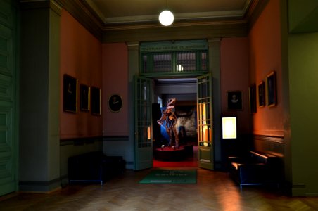 Naturhistorisches Museum Basel view 27102013 2