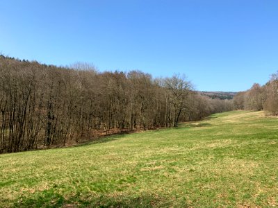 Naturschutzgebiet Reichenbachtal (1)
