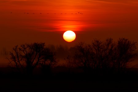 Naturschutzgebiet.Rangsdorfer.See.Sonnenaufgang.Kraniche.B