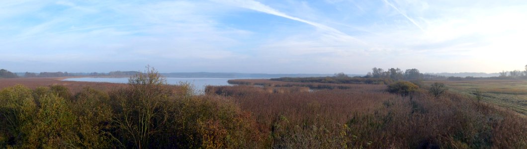 Naturschutzgebiet.Rangsdorfer.See.Panorama