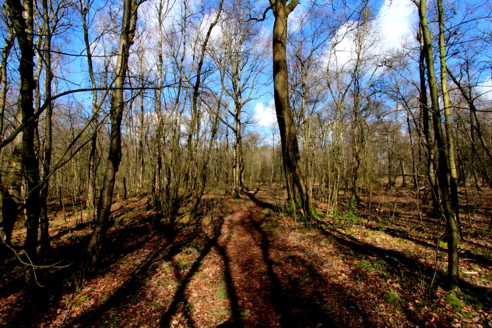 Naturschutzgebiet Fürstenkuhle 02