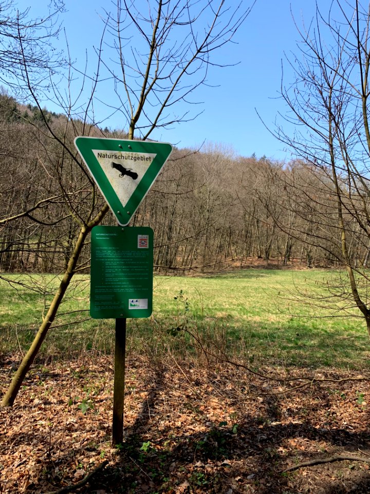Naturschutzgebiet Reichenbachtal