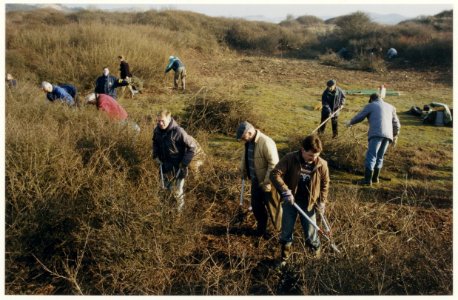 Natuurgebied Duin en Kruidberg. Vrijwilligers verrichten snoei-en kapwerk in de duinen. NL-HlmNHA 54050088
