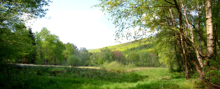 Naturschutzgebiet Oberes Emsbachtal