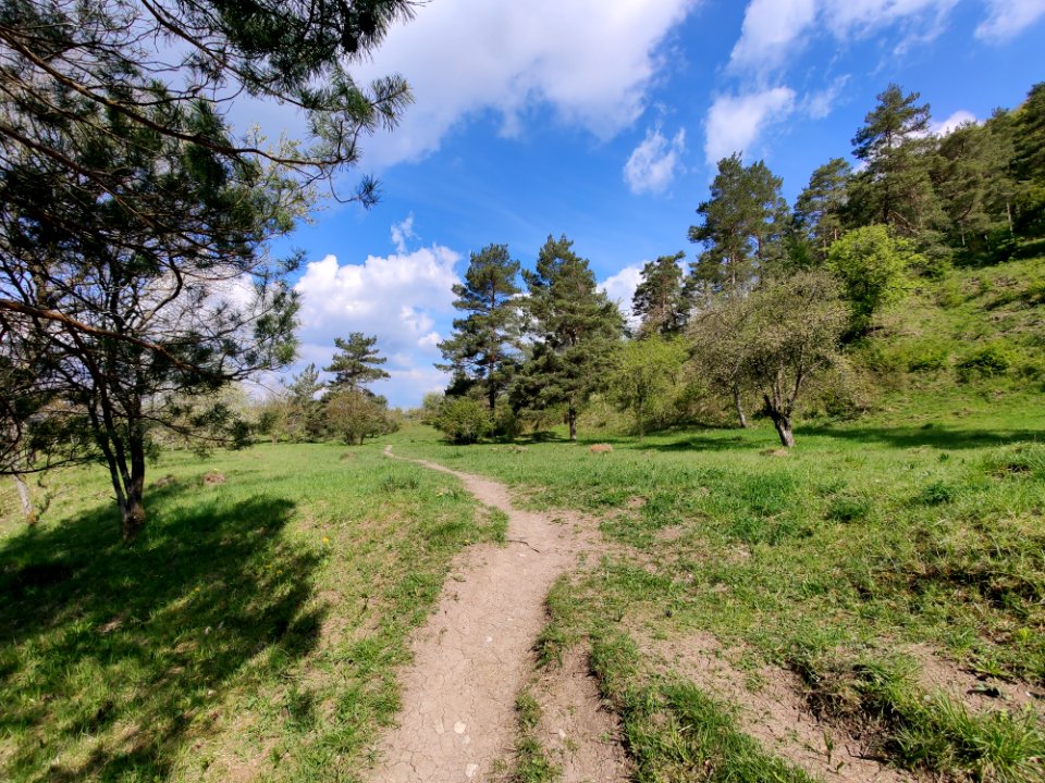 Nature reserve Sonnebierg 20210503 110708
