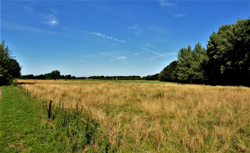 Naturschutzgebiet Bietenschlatt in Südlohn