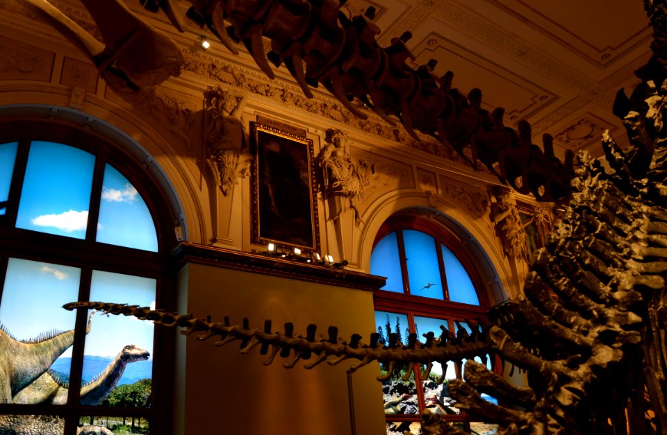 Naturhistorisches Museum Vienna 21 04 2013