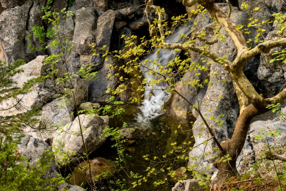 Nature water Drymona Euboea Greece photo