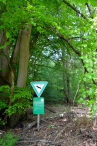 Naturschutzgebiet Oberes Emsbachtal (1)