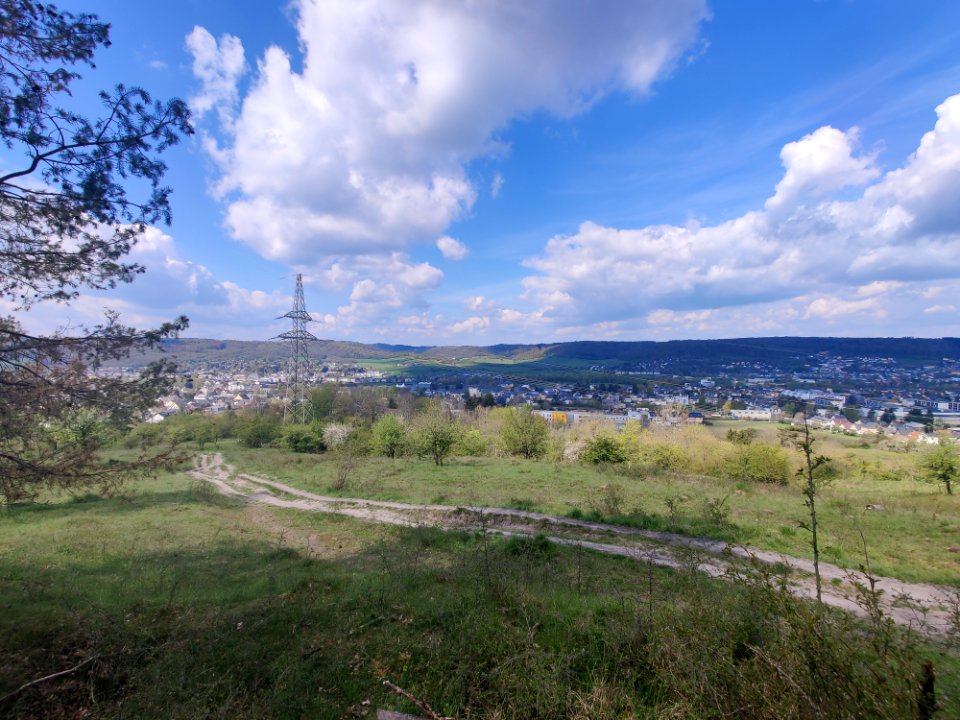 Nature reserve Sonnebierg 20210503 111725