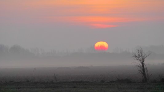 Naturschutzgebiet.Rangsdorfer.See.Sonnenaufgang