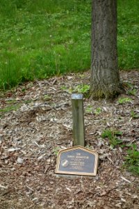 Navy Dive Bombing Squadron 85 (VB-85) - Dawes Arboretum plaque - DSC02891