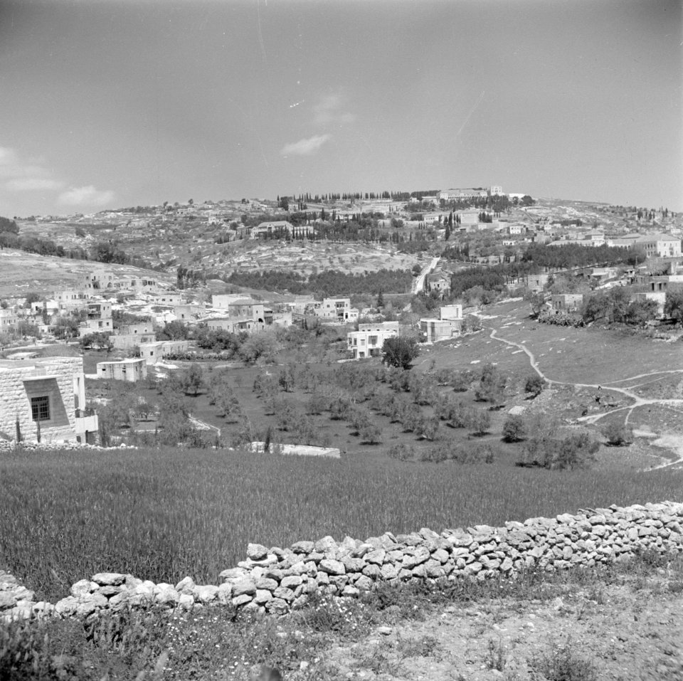 Nazareth. Uitzicht over de stad met op de voorgrond een ommuurde akker, een boo…, Bestanddeelnr 255-1022