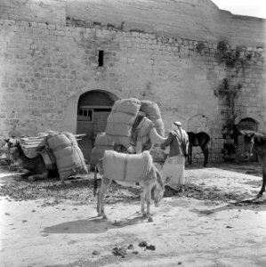 Nazareth Binnenplaats van een caravanserai beladen kamelen met een begeleider…, Bestanddeelnr 255-1037