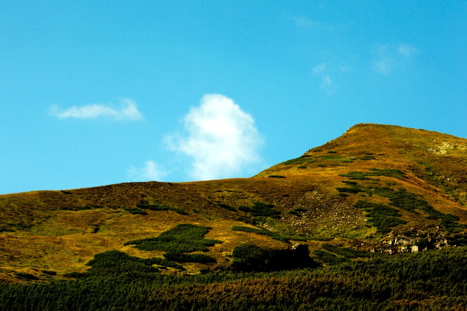 Grassland green hill