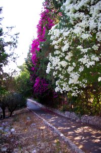 Nazareth 09.08.2011 13-56-46