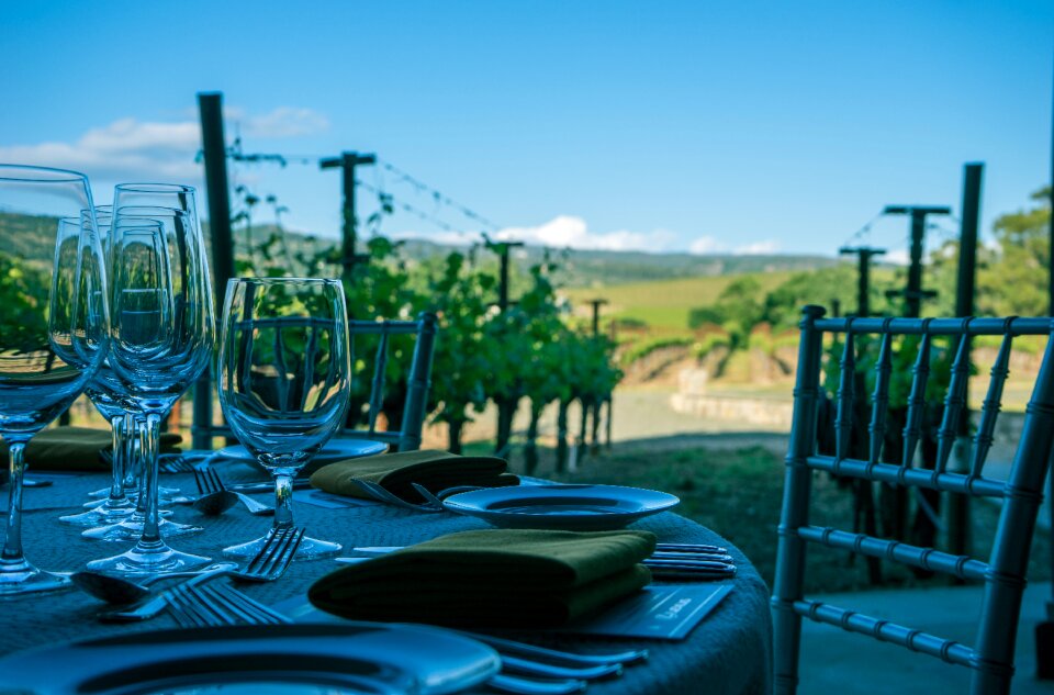Napa california vine