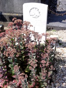 Nauroy (Aisne) tombe de guerre