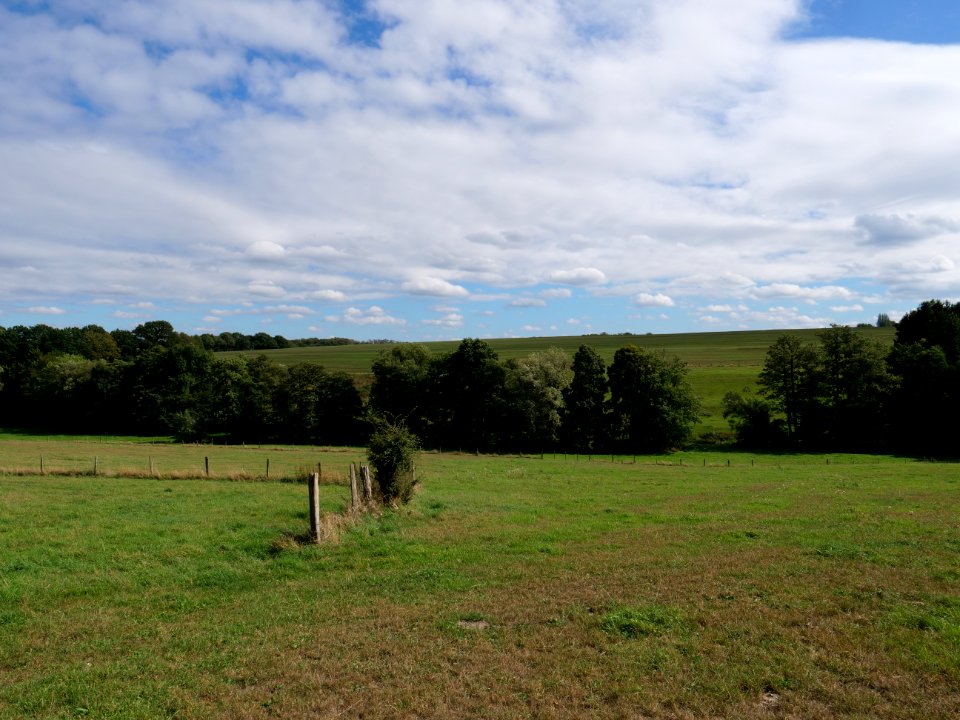 Near Vennbahn in September 2019 11