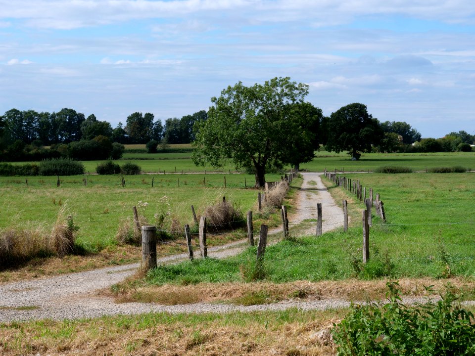 Near Vennbahn in September 2019 07