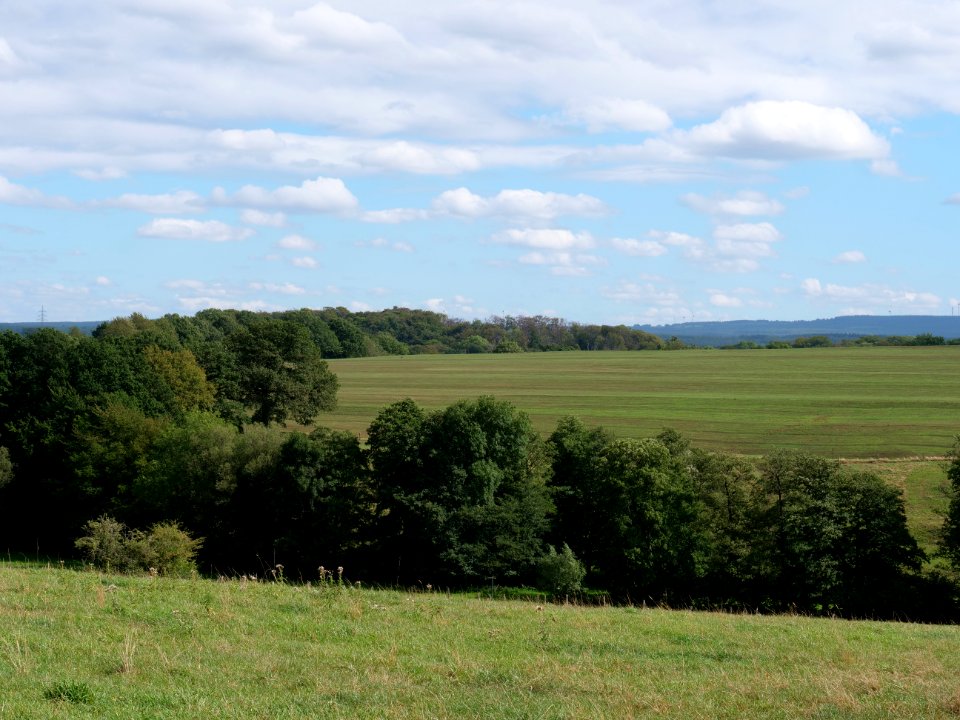 Near Vennbahn in September 2019 09