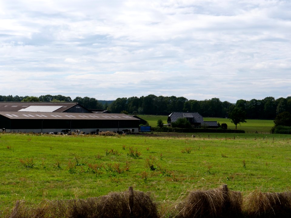 Near Vennbahn in September 2019 06