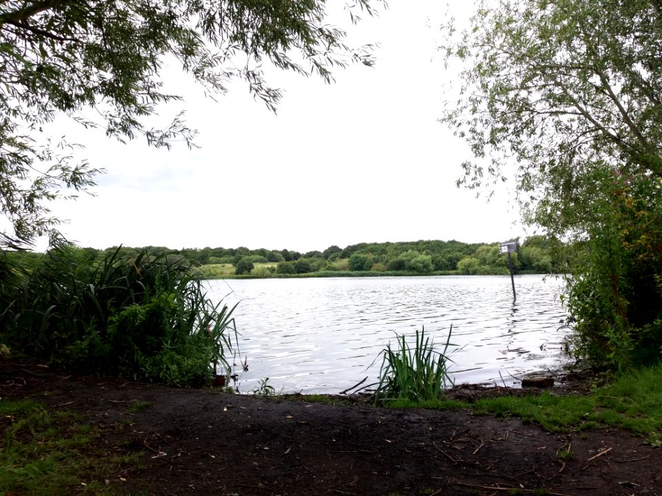Neasden Recreation Ground - View of the reservoir