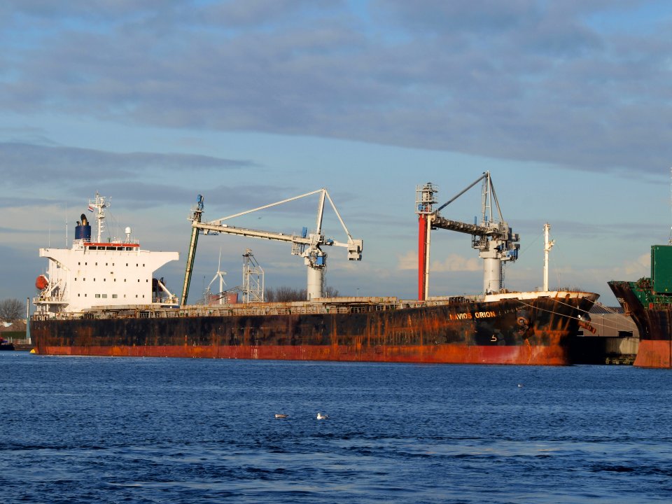 Navios Orion photo-3