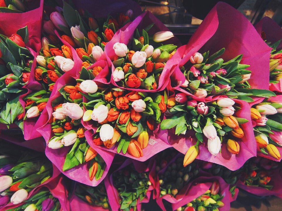 Bouquet of flowers floral flower bouquet