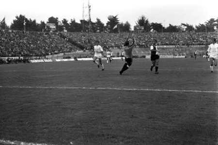 NEC tegen Feyenoord 1-2, doelpunt ( Van Hasil), (l) Ad Mellard (NEC), Bestanddeelnr 924-8721