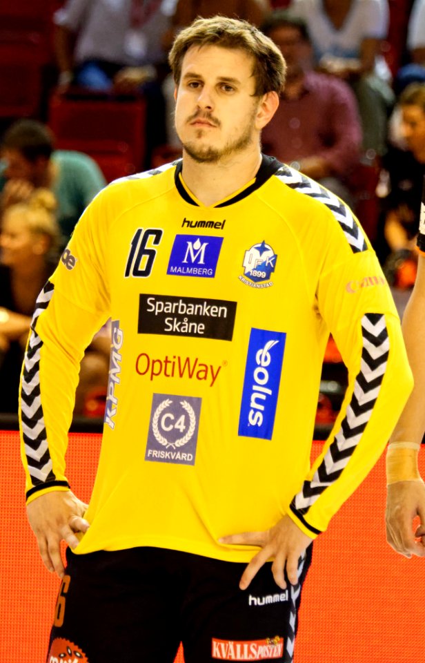 Nebojsa Simic 2 20160904