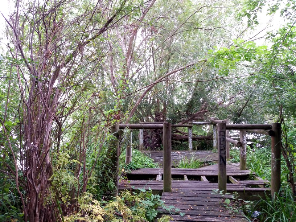 Neasden Recreation Ground - Old wood platform