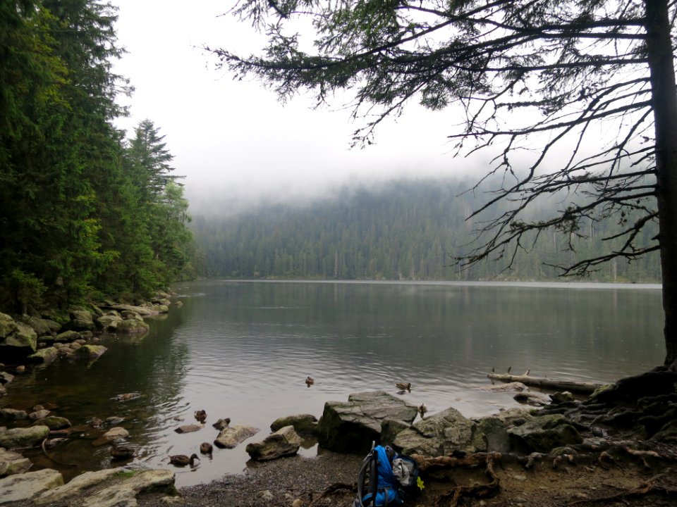 Nebel Teufelssee