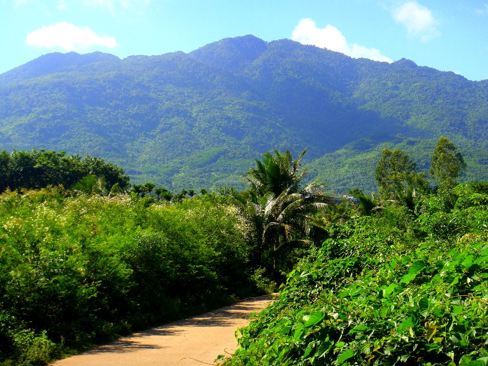 Near Xinlong, Hainan - 01