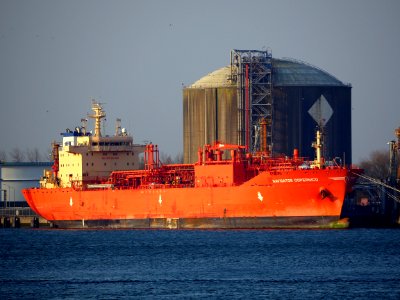 Navigator Copernico (ship, 2016) IMO 9704520, Port of Rotterdam pic1